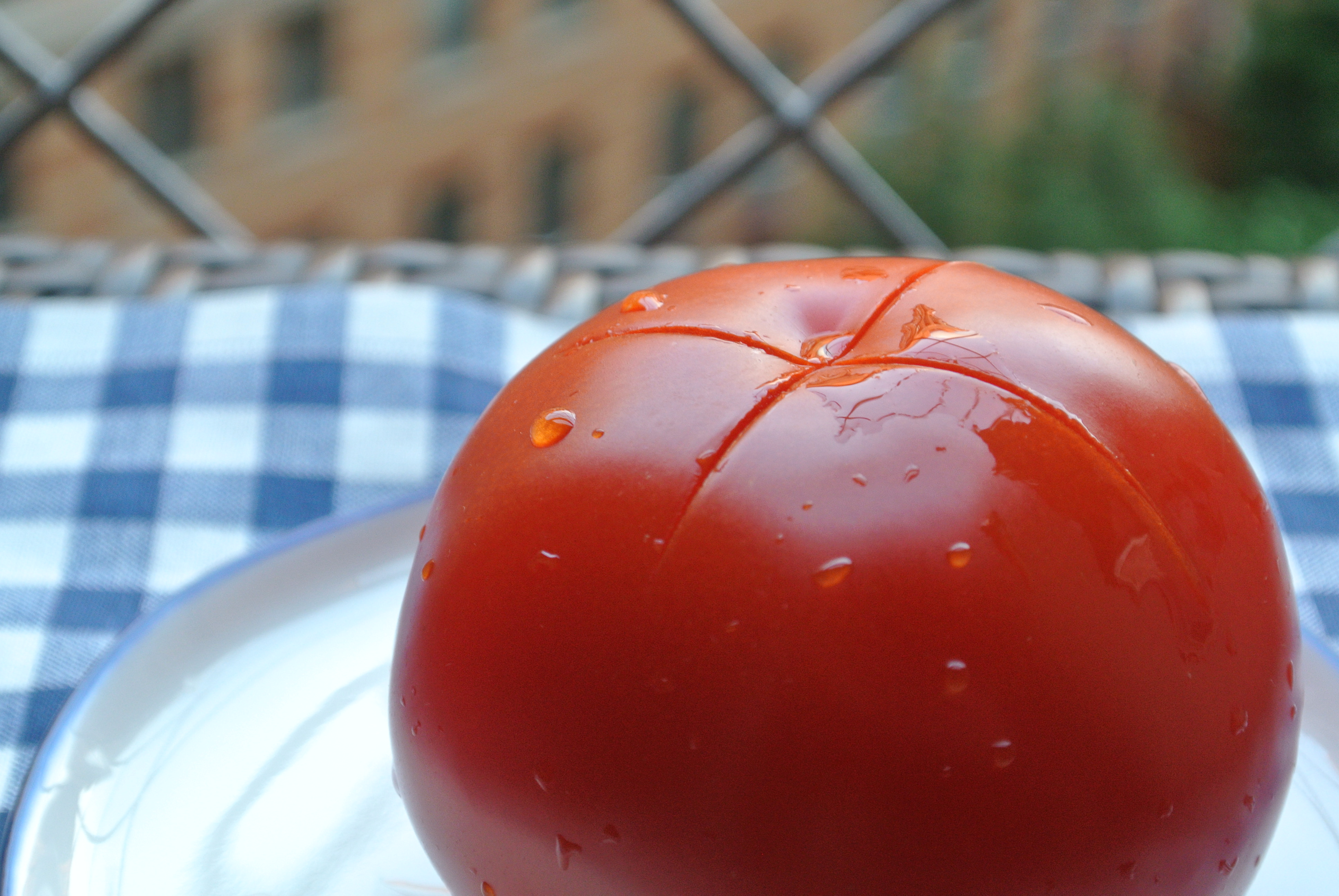 Tomato with X