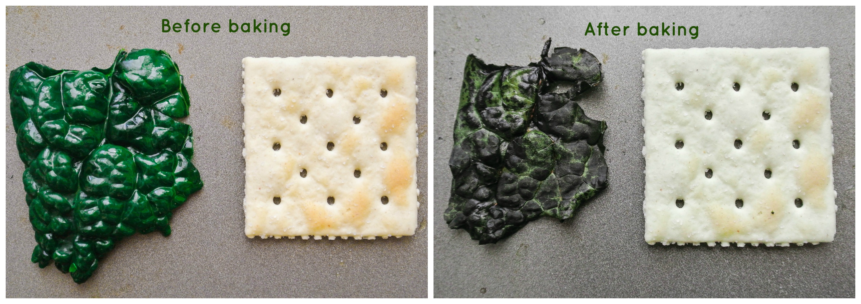 Satine comparison - Kale chips